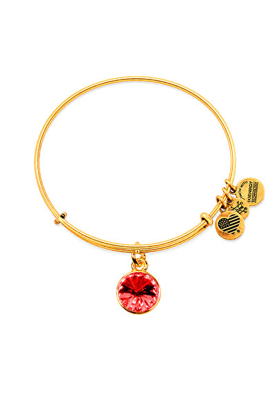 Alex and Ani Bratara Metal A19EB40SG