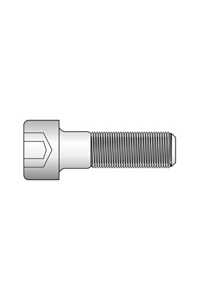 SCHAEFER Set 100 x Surub Cap Inbus 912 Inox A4-M8 x 40