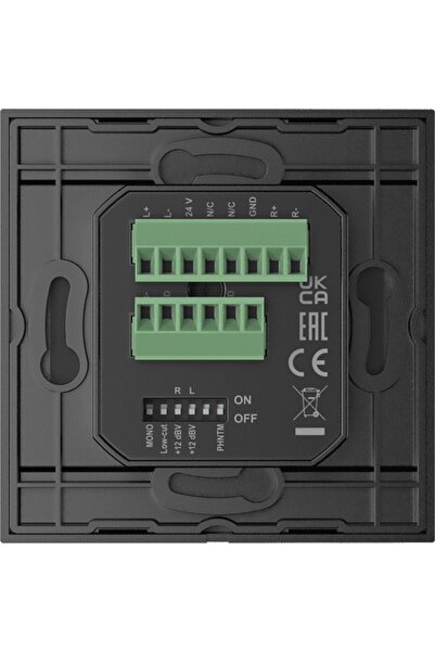 AUDAC Microfon ML cu modul de înregistrare ≈öcienny mode≈Ç WP210/B, microfon ...
