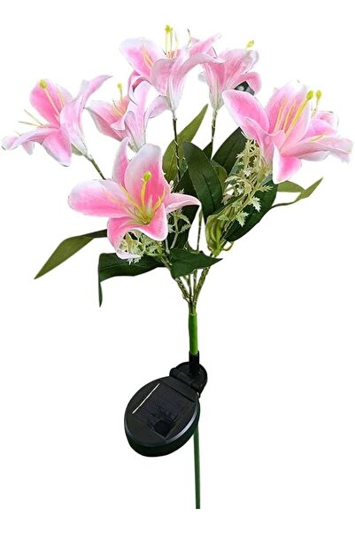 BaoBao Set of 2 Solar Garden Lights with Stake, LED, Pink Flowers, Plastic