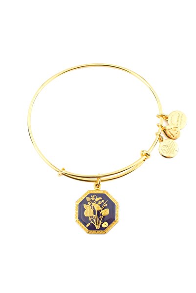Alex and Ani ΓΥΝΑΙΚΕΙΟ ΒΡΑΧΙΟΛΙ A14EB90YG (20ΕΚ.)
