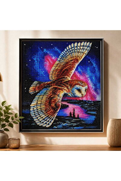 DNZt 5D Diamond Painting 50x40 cm Elmas Mozaik Boncuklu Taşlı Goblen Pano Tab...