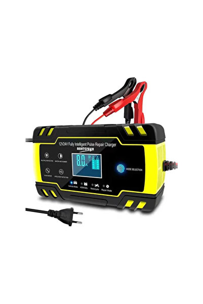 ALIEN Incarcator smart baterie 12-24V reparatie cu pulsuri