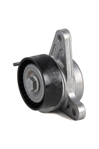 OEM Intinzator, curea transmisie INA 534 0552 10