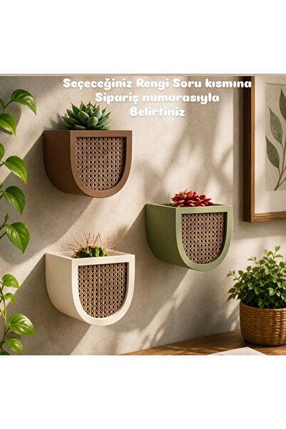 Lyora Duvar Aksesuarı Sukulent Saksı (20cm)(1adet fiyatı dır)