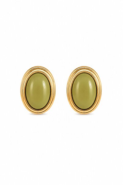 Charmist Steel elara earrings