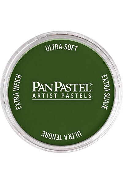 Panpastel أرتيست باستيل بويا 660.5 أكسيد الكروم الأخضر