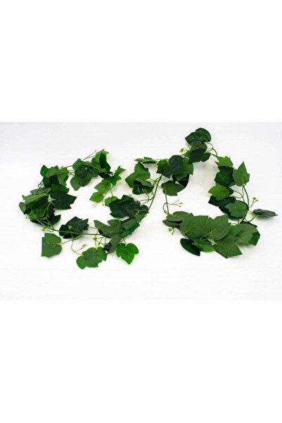OEM Ghirlande Frunze Vita De Vie