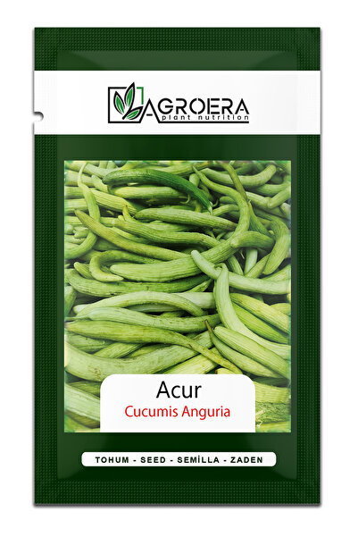 AGROERA Acur Tohumu (5 Gr. 80 Adet)
