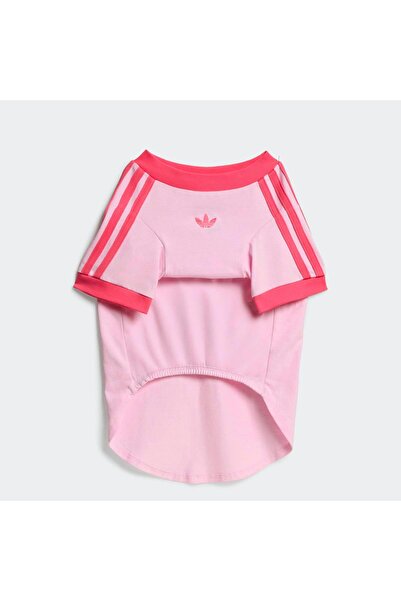 adidas Originals Pembe Pet Cali Tişört (KY8729)