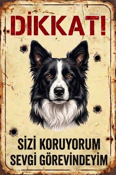 Iron Paws Dikkat Köpek Var - Border Collie Uyarı Levhası - Paslanmaz Metal Gö...