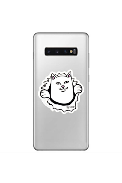 Other Samsung S10 Plus White cat Transparent Silicone TPU Θήκη