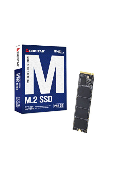 Biostar SSD-ul M760 de 256 GB
