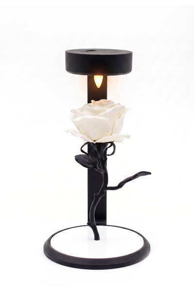 YS Yıldızhanstore Minimalist Dekoratif Işıklı Solmayan Kadife Gül - Doğum Gün...