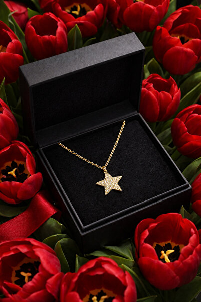 PULİNİN DÜKKANI Star Figured Steel Necklace – Stainless Steel Elegant Women's...