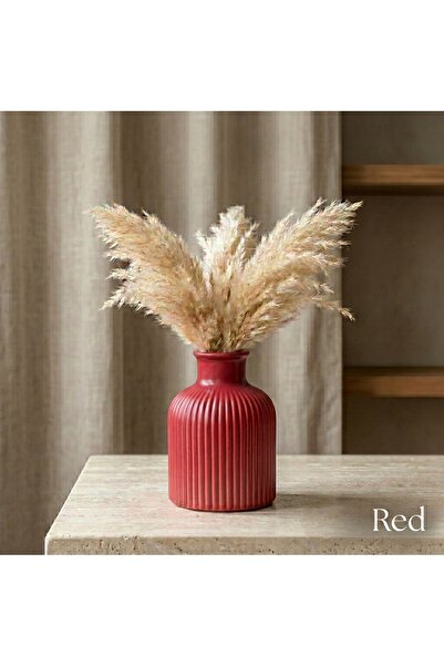 CANSEB Elegance Premium - Red - 10cm Tall - Striped Pampas Vase