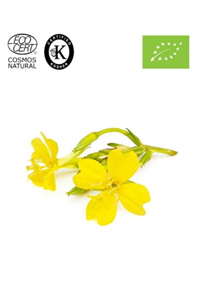 Herbstore.gr Νυχτολούλουδο Λάδι ΒΙΟ