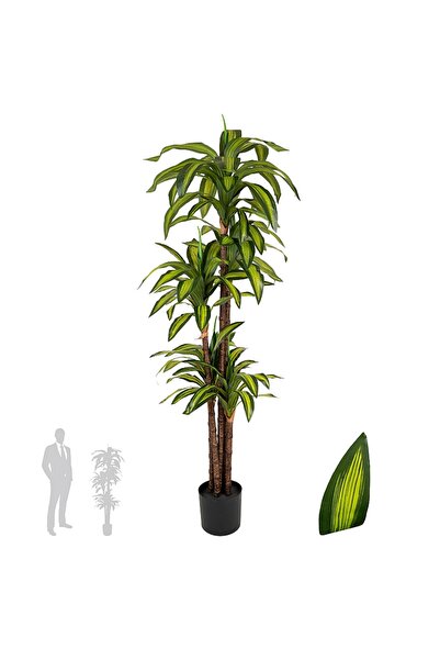 Roberto Rossi Dracaena artificiala cintho cu 97 frunze H150cm