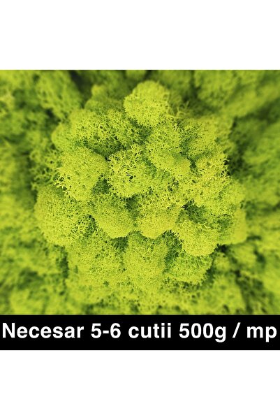 Roberto Rossi Licheni curatati si fara radacina conservati 500g NET, PREMIUM,...