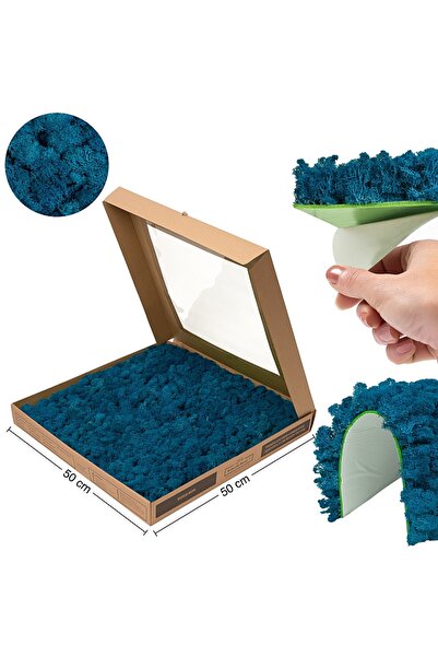 Roberto Rossi Stabilized lichens ready to stick panel 50x50x5.5 cm classic da...