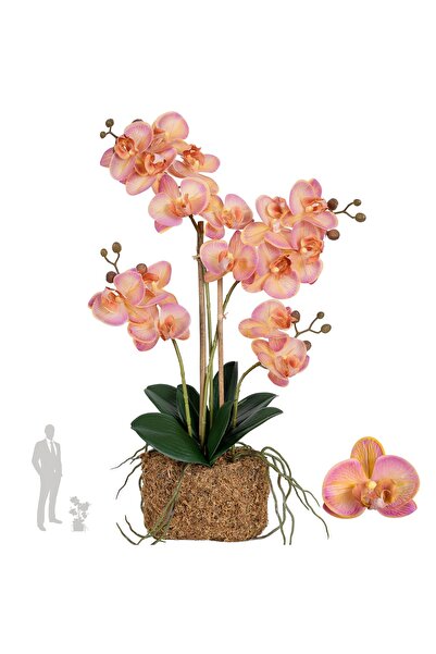 Roberto Rossi Orhidee artificiala roz cu portocaliu cu aspect H55 cm cu 4 tul...