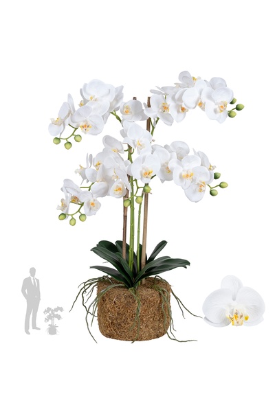 Roberto Rossi Orhidee artificiala alba cu aspect H69 cm cu 5 tulpini
