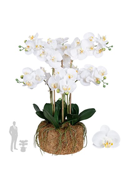 Roberto Rossi Orhidee artificiala alba cu aspect H66 cm cu 7 tulpini