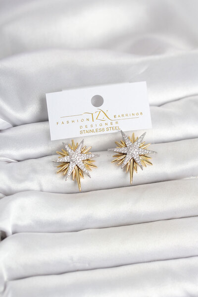 Twin Store Zircon Stone Brass Pole Star Gold and Silver Color Women's Earrings