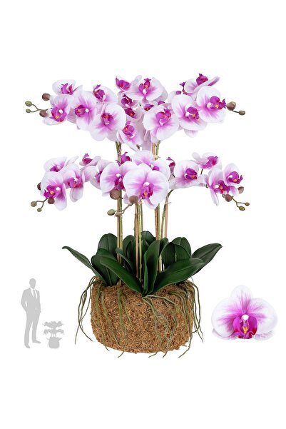 Roberto Rossi Orhidee artificiala alb cu roz cu aspect H66 cm cu 7 tulpini