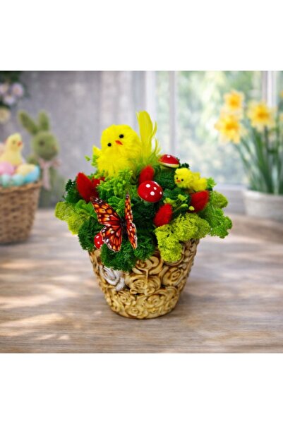 velve Decoratiune handmade cu licheni stabilizati, plante naturale, uscate, p...