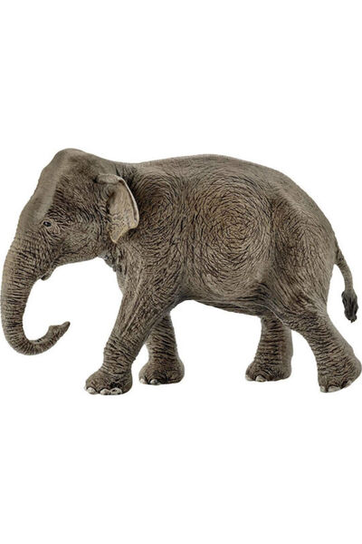 SCHLEICH S Άγρια Ζωή Ασιατικός Ελέφαντας Θηλυκός για 3+ Ετών 8,5 εκ. (Πολλαπλ...