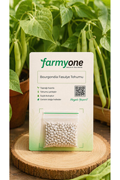 farmyone Bourgondia Fasulye Tohumu 50 Adet