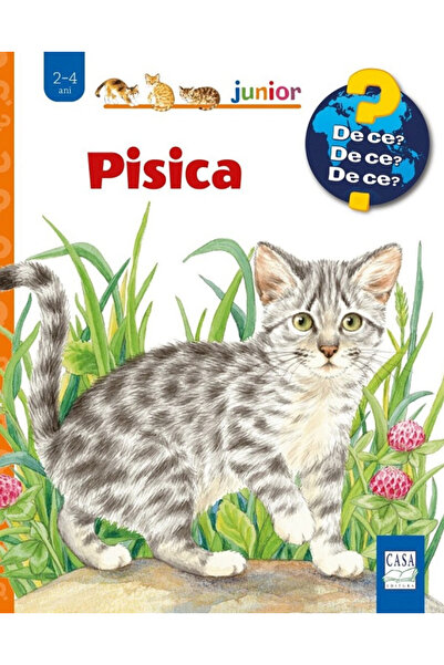 Editura Casa Cat, Patricia Mennem - Casa Publishing House