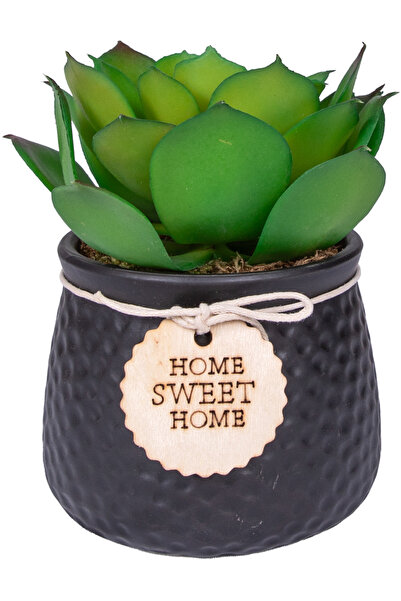 Herdekora Succulent Arrangement in Ceramic Black Flowerpot Black-Green 14X14 Cm.