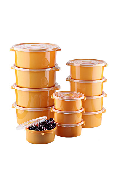 GİNZAMAİSON Set 12 Cutii alimente (4X500 ml, 4X1000 ml, 4X2000 ml),Portocaliu...