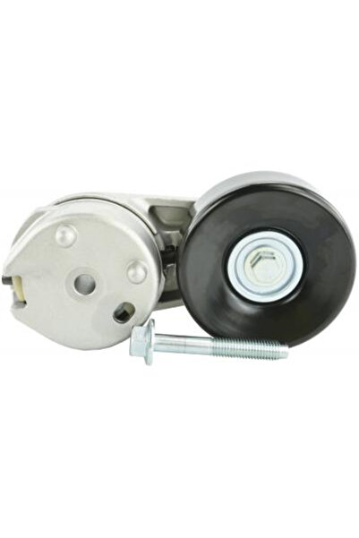 FEBEST Intinzator curea, curea de distribuție 2990-DIV