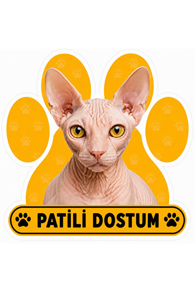 Parti Tasarla Pawed Friend Sphynx Cat Sticker |   20X15 cm Self-Adhesive Foil