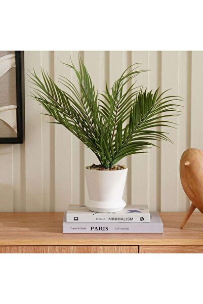 PAN HOME نبتة نخيل الأريكا في وعاء سيراميك بارتفاع 40.5 سم - خضراء