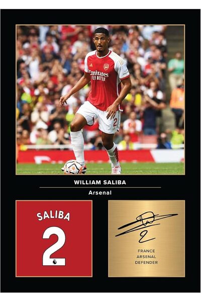 ESSESORIES Icons William Saliba Signed A4 Printed Photo Picture Display Poste...