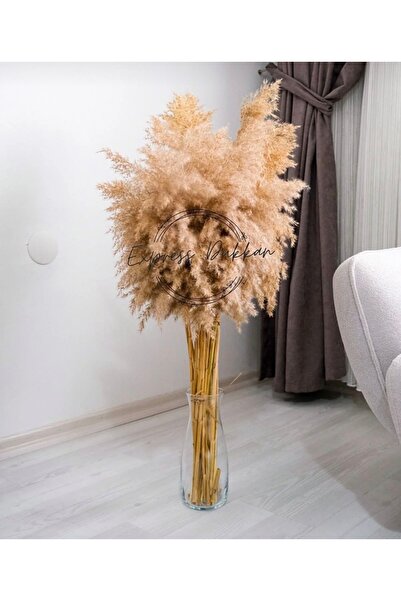 TROYA Yeşil / Doğal Pampas 20 Adet 100 Cm