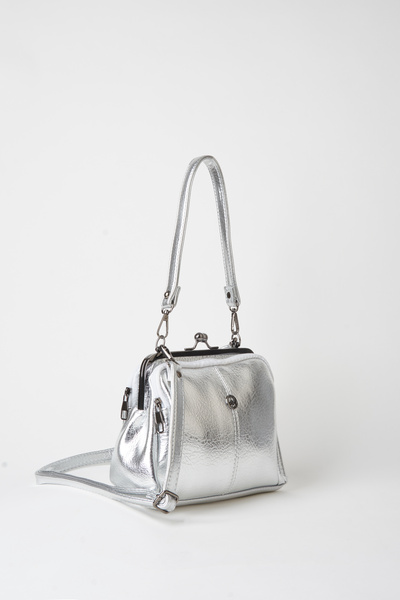 Vivaq Women's Silver 4-Compartment Lined Scholarship Handbag and Zipper Closu...