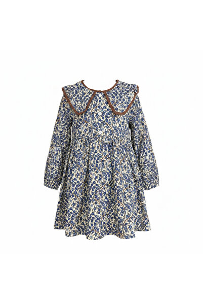 Generic Kids Cream & Blue Floral Long Sleeve A-Line Dress