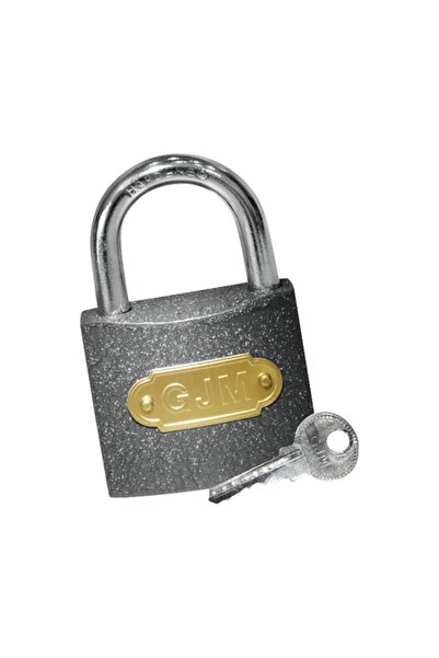 OEM Lacăt fontă Abus Ecoline 50mm, clemă Ø8mm, 3 chei