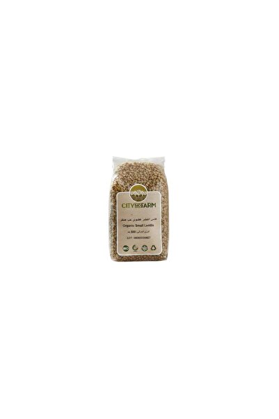 Other Green Lentils Small Grain 500g from City Bio Farm