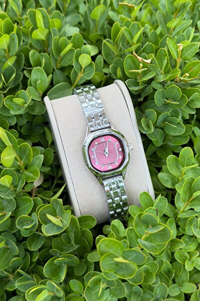 DARKBEAR Women's Luxury Modern Watch