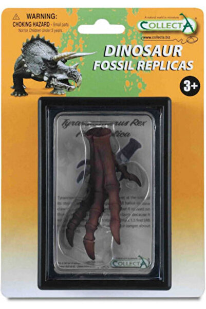 Collecta Descoperire de picior de Tyrannosaurus Rex în cutie