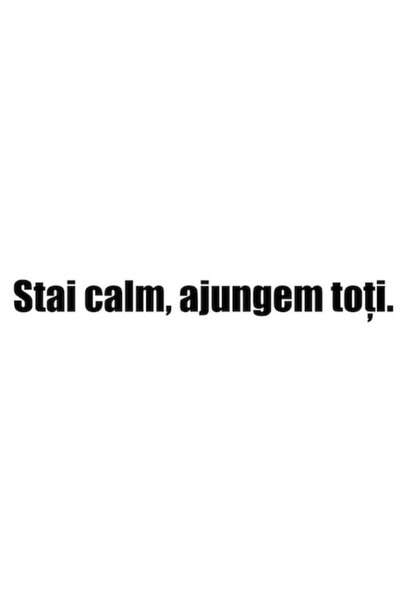 OEM Autocolant auto  "Rămâneți calm, vom ajunge cu toții ", 10cm, Negru