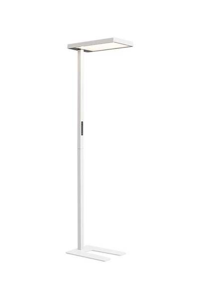 Generic KORVOS 120W Standing Floor Lamp with Anti-Flicker Technology for Eye ...