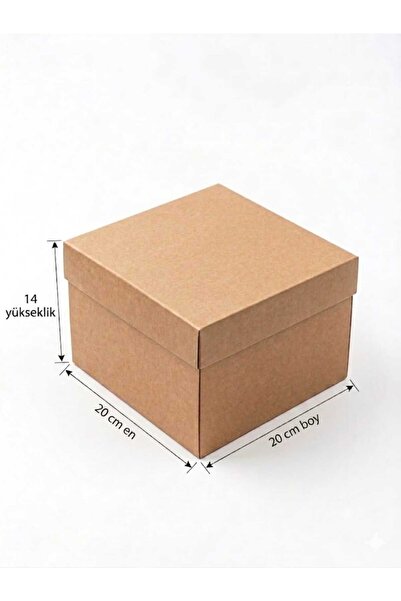 Kutu Ambarı Kraft Kutu Karton Hediye Kutusu 20x20x14 cm