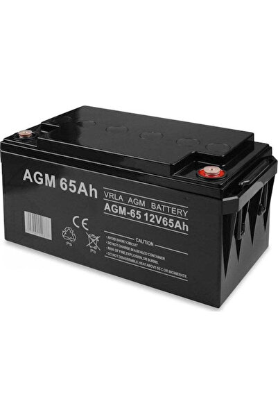 VOLT POLSKA Baterie UPS cu capacitate 65Ah și tensiune 12V 6AKUXAG065 1 buc.